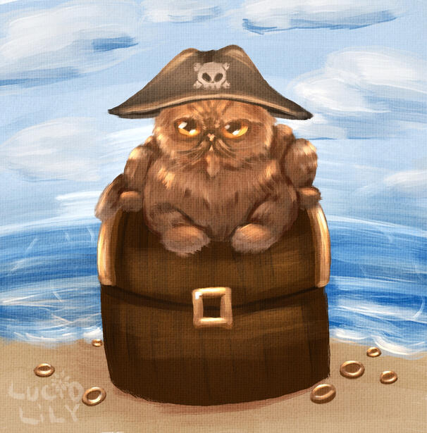 Cat Pirate